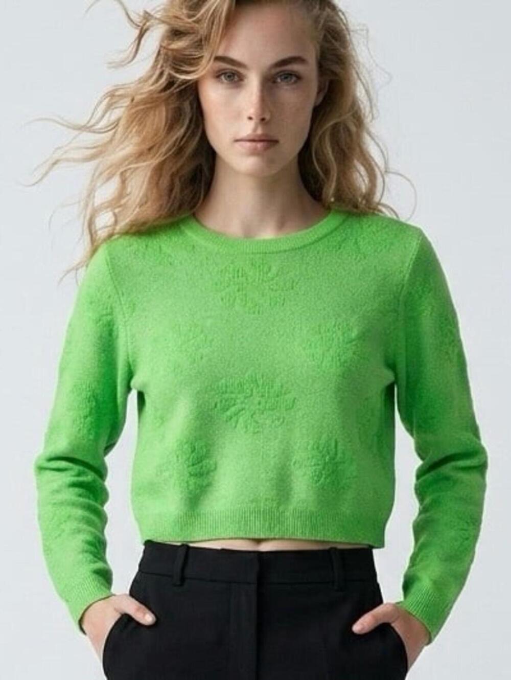 ZARA Sheer Knit Daisy Top